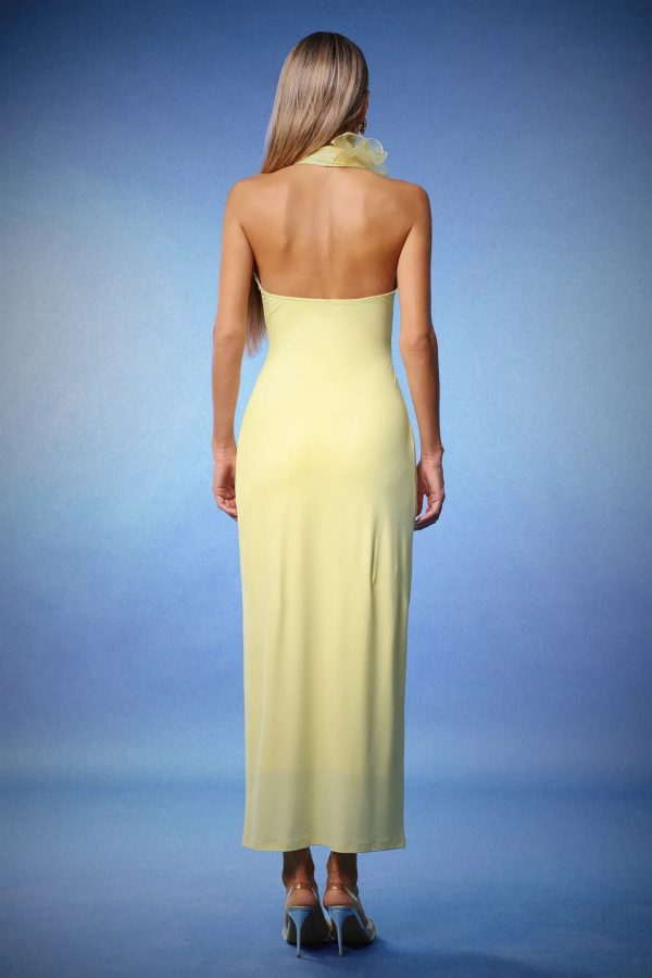 lacie deep v halter flowers maxi dress 16