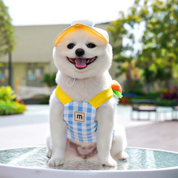 spring & summer pet plaid harness set 15