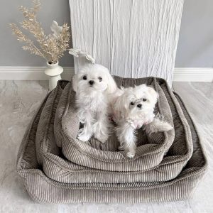 all season cozy durable corduroy dog sofa bed for small & medium dogs 11 all season cozy durable corduroy dog sofa bed for small & medium dogs 11