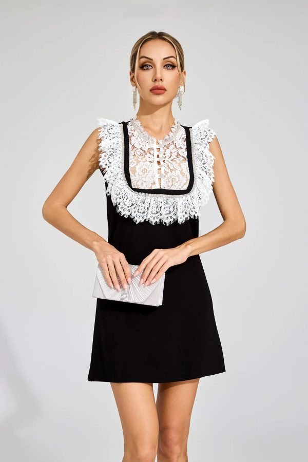 warren black lace mini dress 13