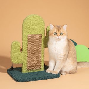 cactus cat scratcher 11