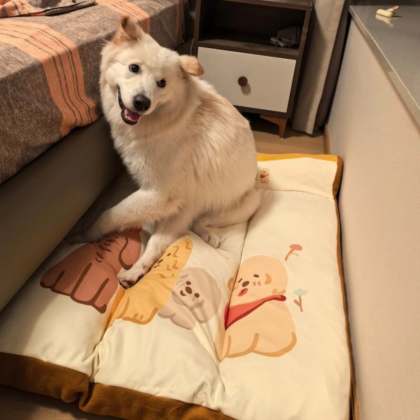 pet paradise dog bed 18