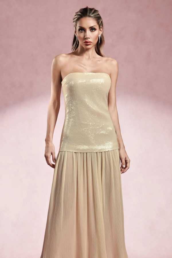 riala sleeveless sequin maxi dress 12