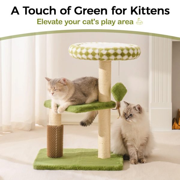 zion diamond cat tree pro 12