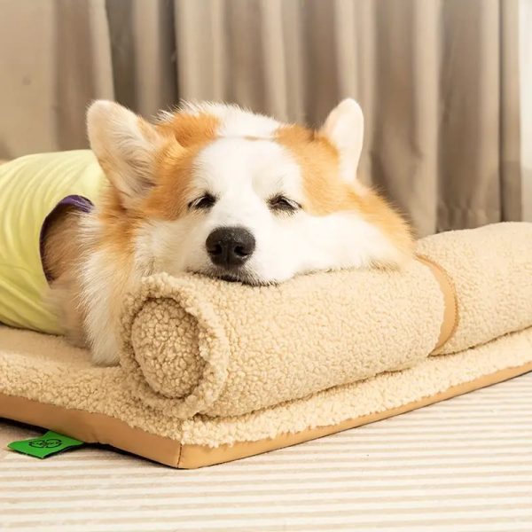 all season washable dog bed with removable cover 14