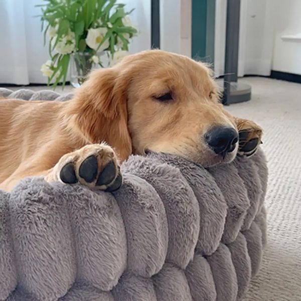 fluffy thickened warm oval calming comfort dog sofa bed 20