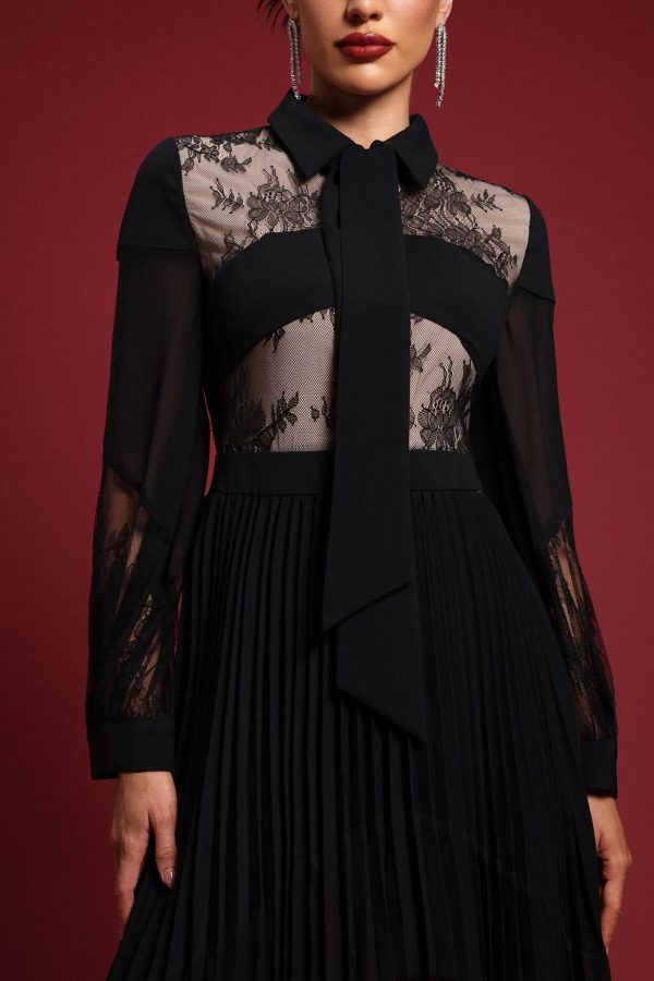 raldris lace pleated maxi dress 300