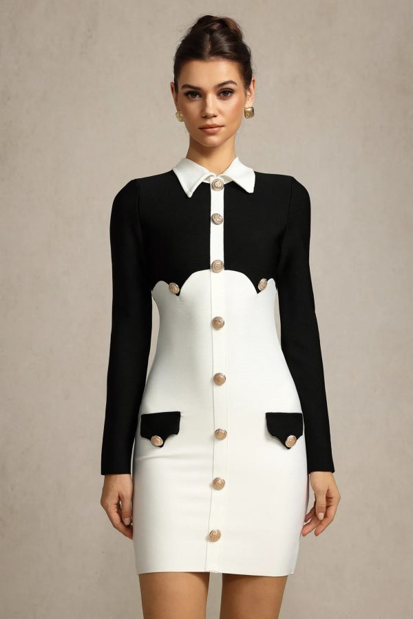 viera long sleeves mini dress 12