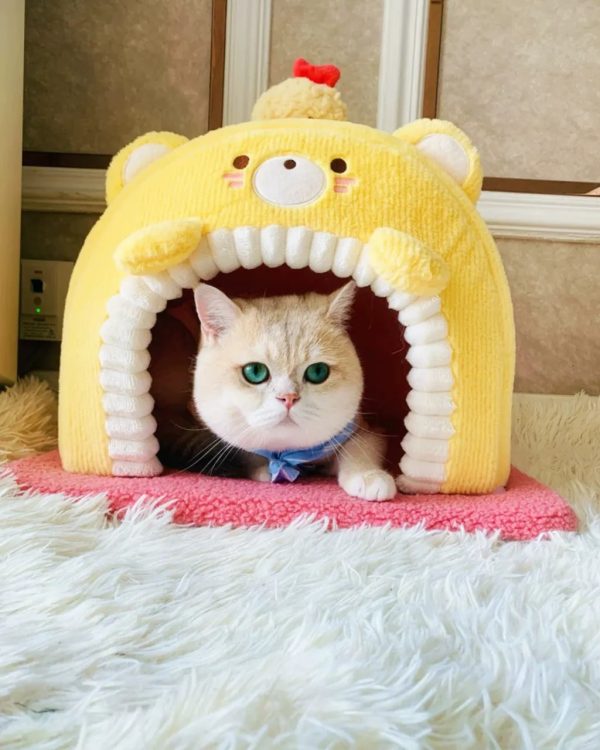 bear themed pet sleeping house 13