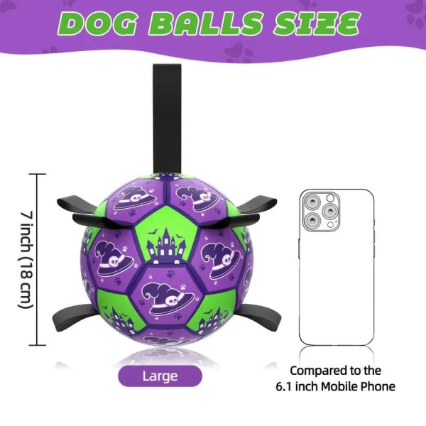 halloween themed dog soccer ball 14