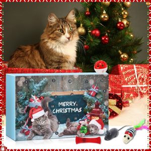 kitty advent calendar 100