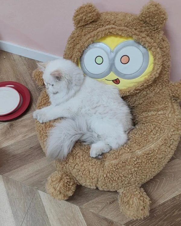 minions series bear shaped backrest pet sleeping bed 18