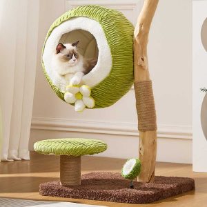 coconut green solid wood mini cat tree 11