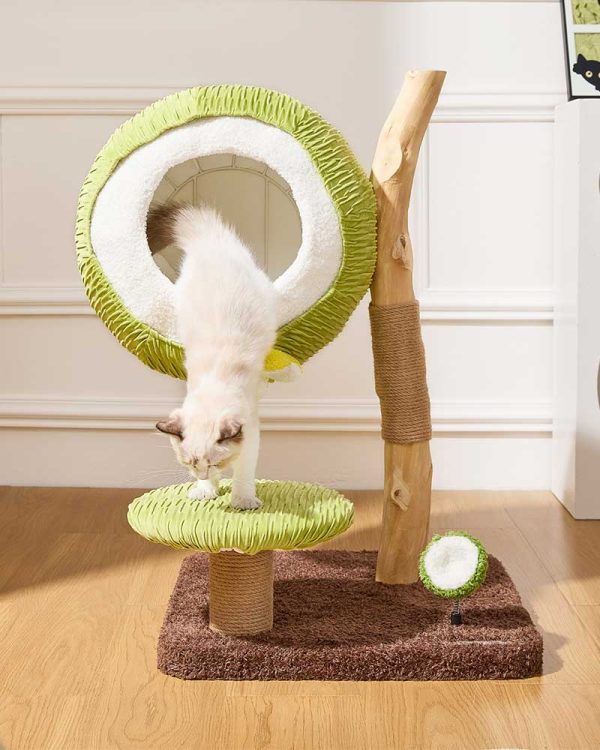 coconut green solid wood mini cat tree 12