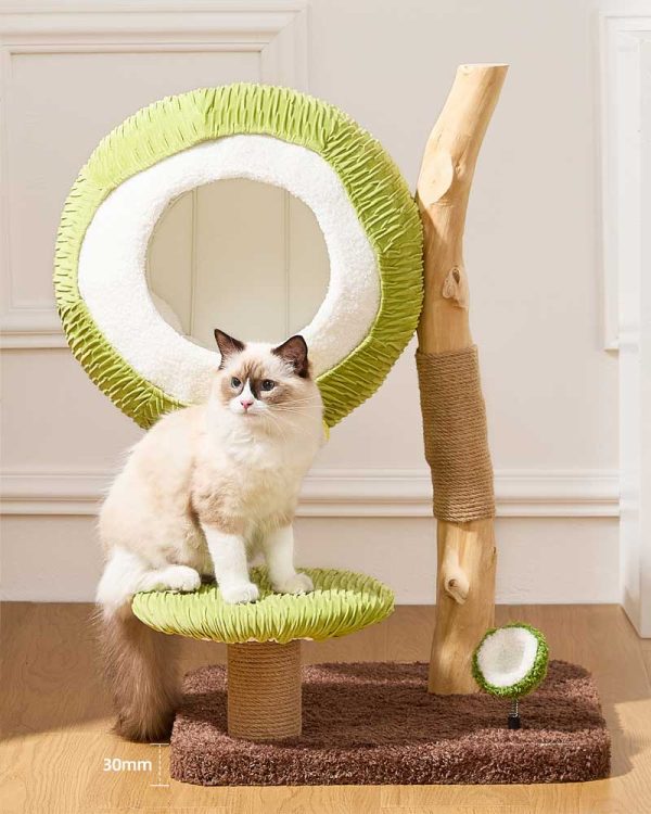 coconut green solid wood mini cat tree 13
