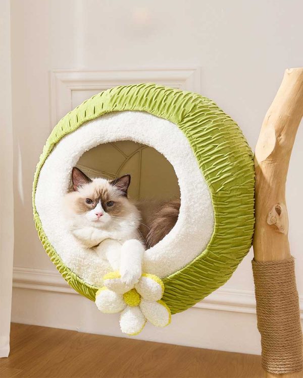 coconut green solid wood mini cat tree 14