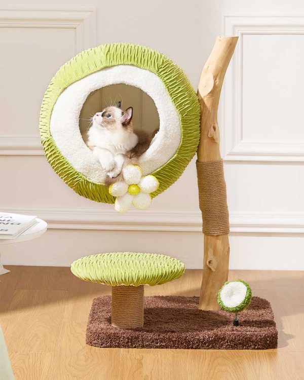 coconut green solid wood mini cat tree 15