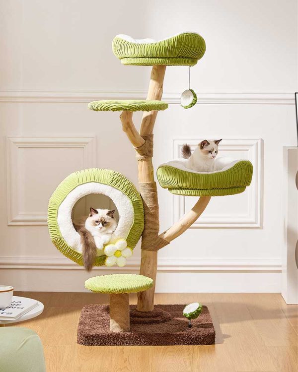 coconut green solid wood mini cat tree 21