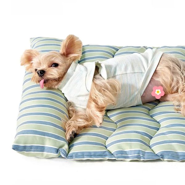 color blocked striped breathable double sided soft pet mat 21