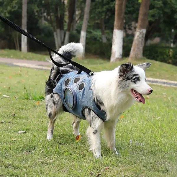 hands free dog backpack carrier for travel & hiking 12