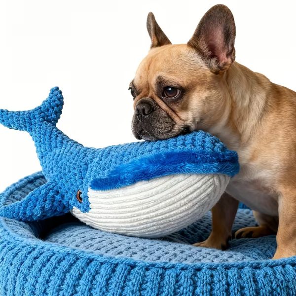 interactive whale toy for dogs 14