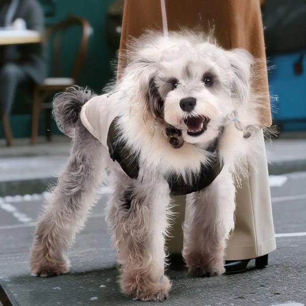 fur trim hooded warm dog coat with leash buckle 13