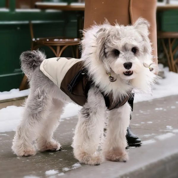 fur trim hooded warm dog coat with leash buckle 16