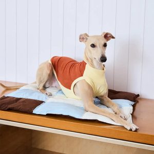 macaron color water repellent multi purpose dog mat 11