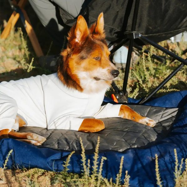 outdoor campsite moisture proof & waterproof portable dog bed 14
