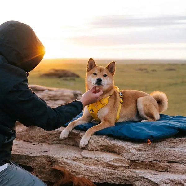 outdoor campsite moisture proof & waterproof portable dog bed 15