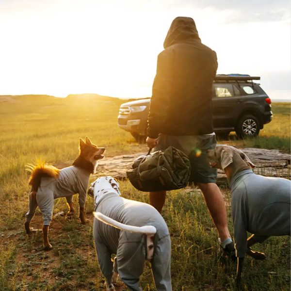 outdoor campsite moisture proof & waterproof portable dog bed 16