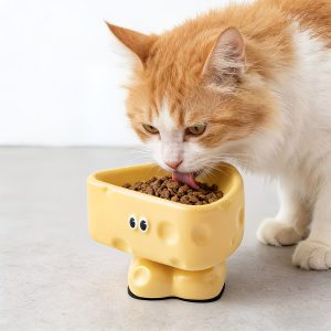 adorable cheese shaped ceramic cat bowl 11
