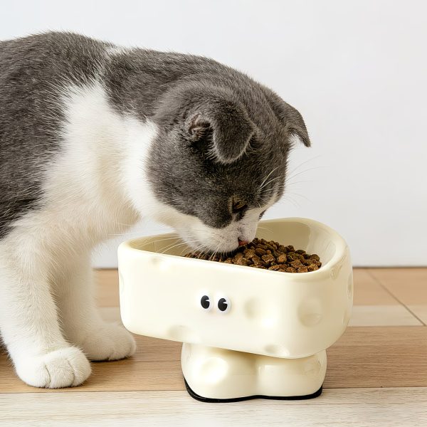 adorable cheese shaped ceramic cat bowl 12