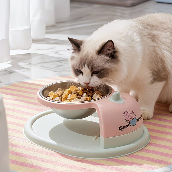 stainless steel elevated cat bowl 12