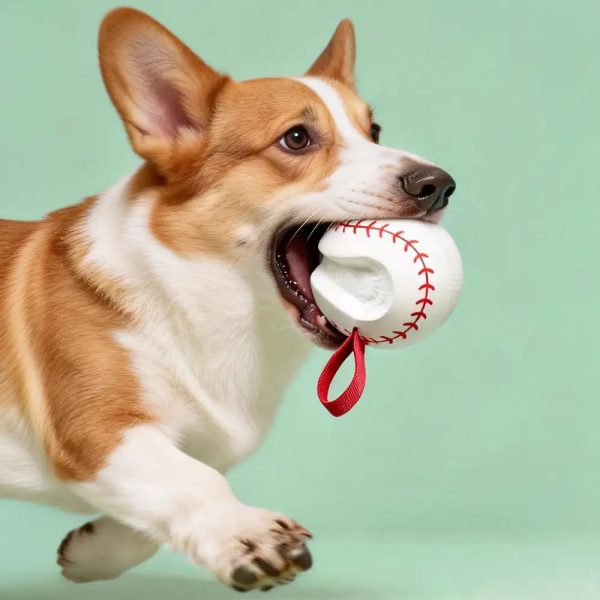teething & play elastic interactive dog chew toy 13