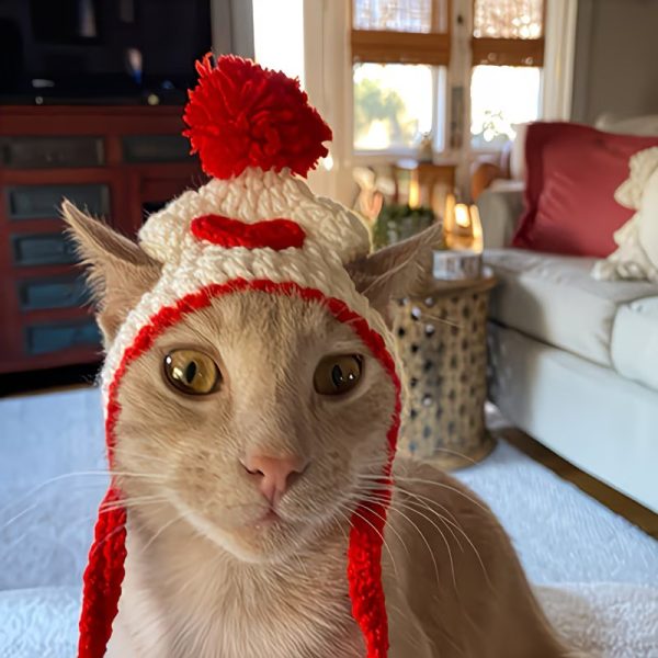 valentine's day hand knitted pet hat 13