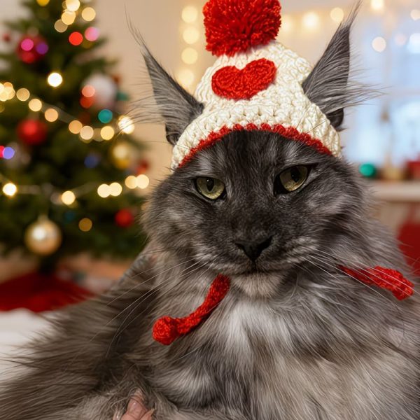 valentine's day hand knitted pet hat 15
