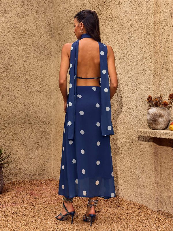 chelo cowl neck dot maxi dress 16