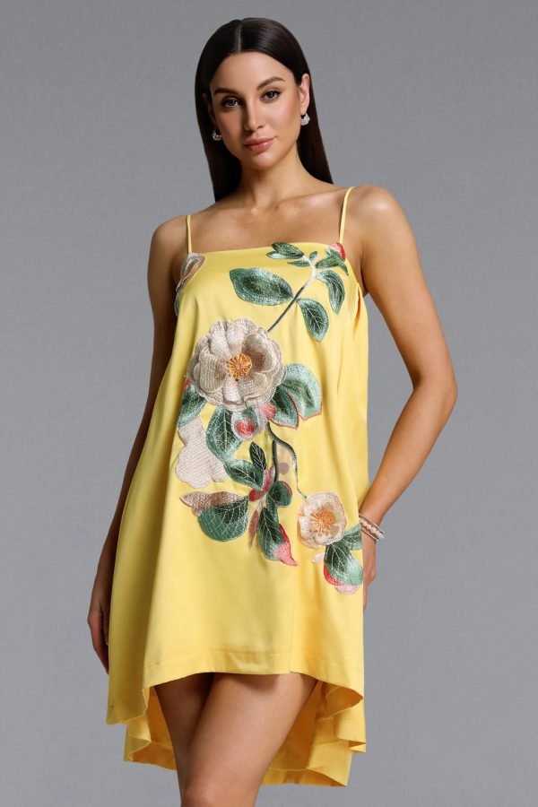 prunella romantic sleeveless floral embroidered mini dress 12