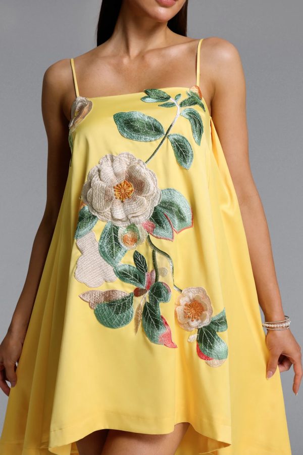 prunella romantic sleeveless floral embroidered mini dress 13
