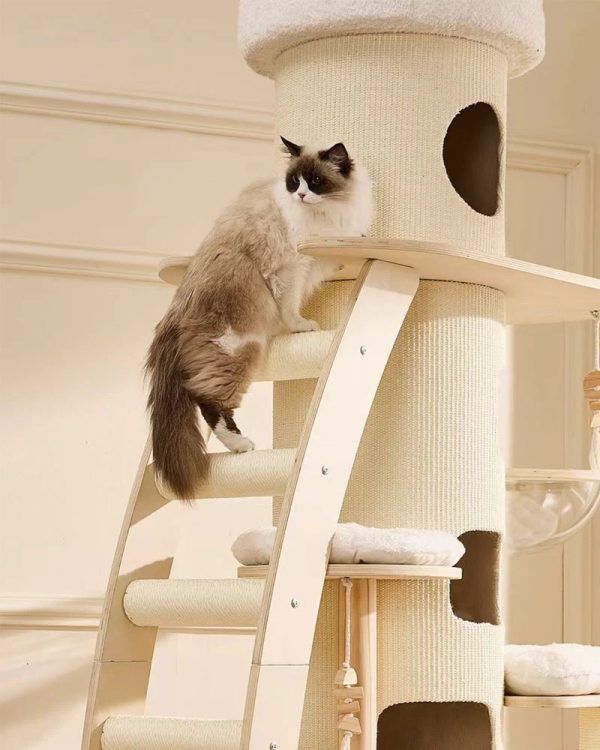 66” large cat tree tower with cloud steps 15