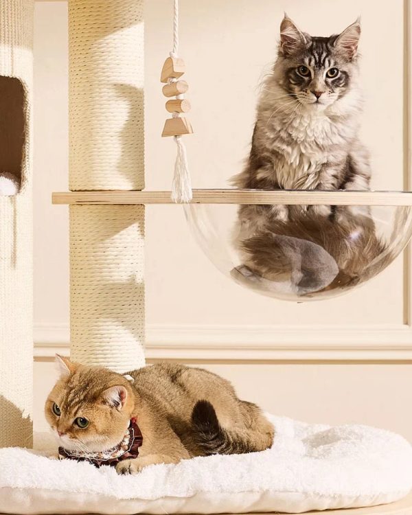 66” large cat tree tower with cloud steps 21