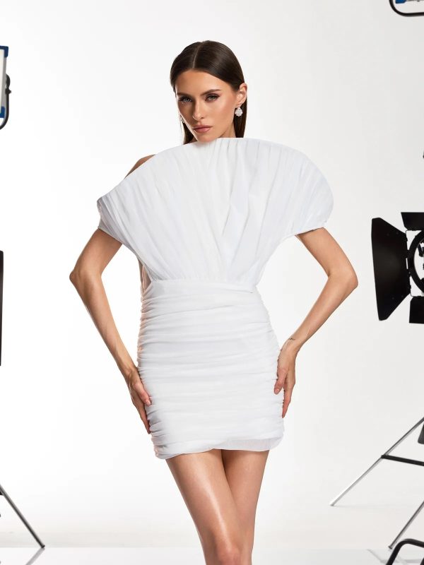 dannell ruched pleated mini dress 12