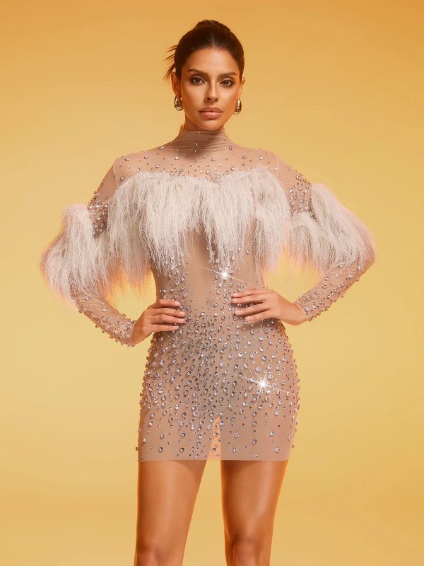 diantha fringe rhinestone mesh mini dress 12