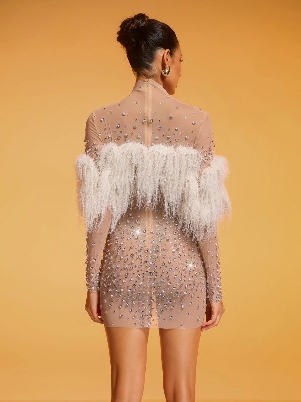 diantha fringe rhinestone mesh mini dress 16