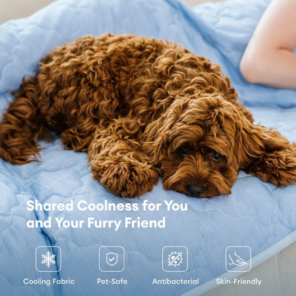 double sided cooling dog blanket 12