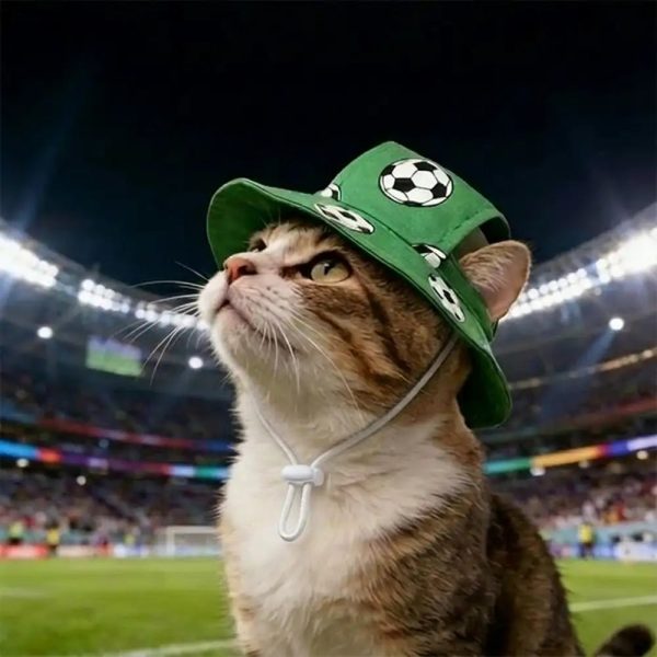 football pattern pet hat 12