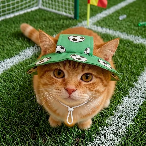 football pattern pet hat 13