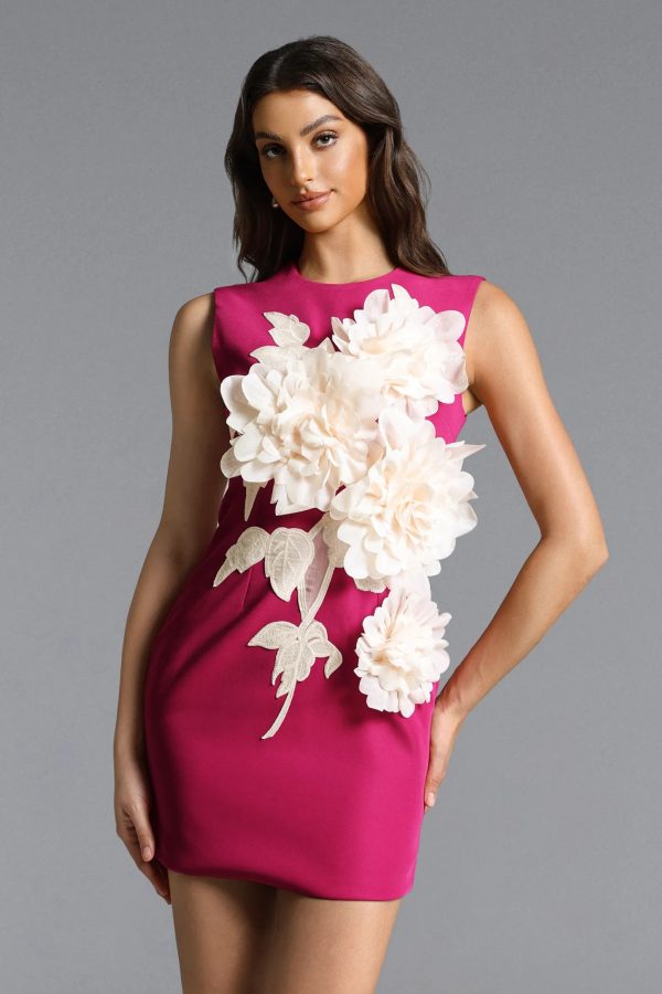 hzere sleeveless floral embroidered rose pink mini dress 12