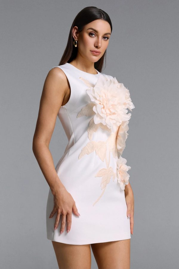 hzere sleeveless floral embroidered white mini dress 15